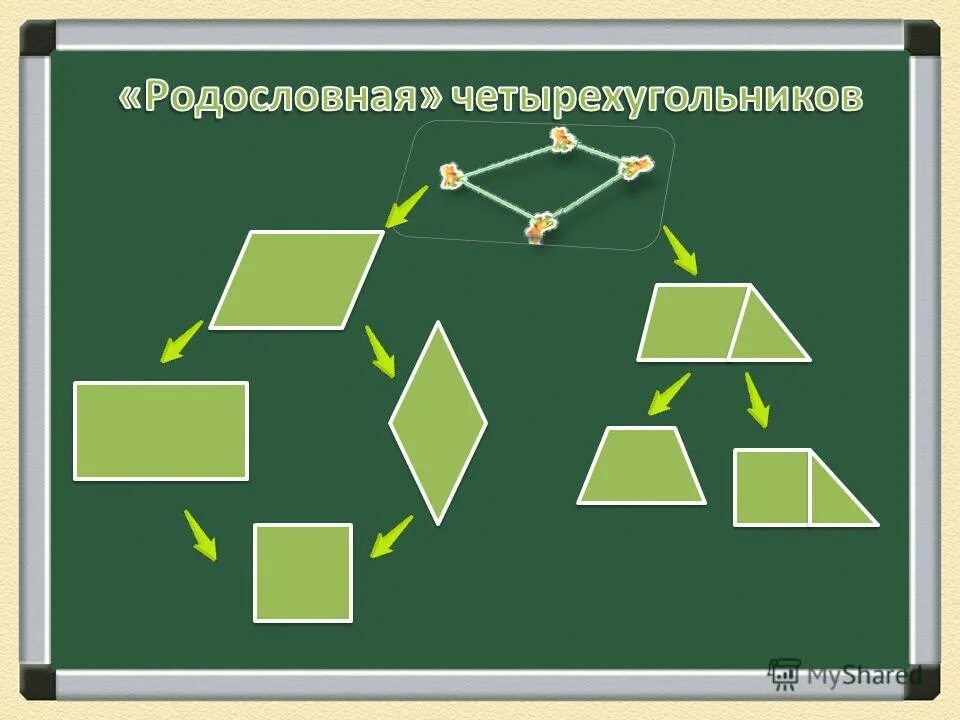 Какие существуют четырехугольники. Генеалогическое Древо четырехугольников. Дерево четырехугольников. Классификация четырехугольников. Родословная четырехугольника.