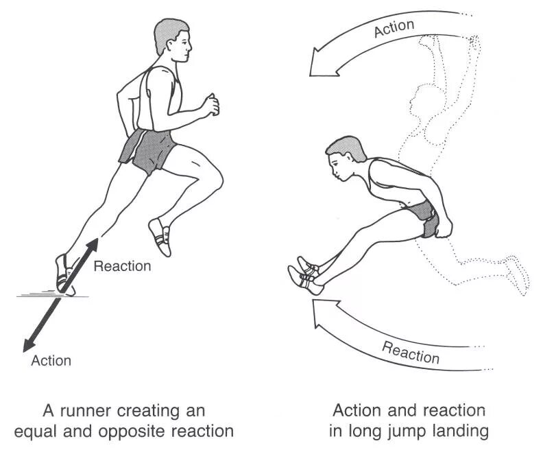 Action reaction