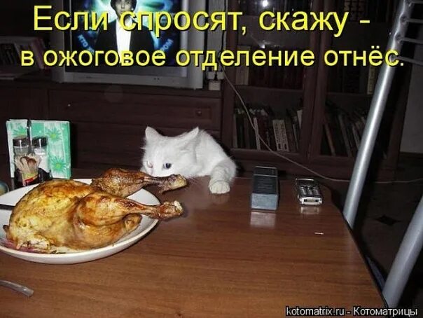Что может быть если поешь