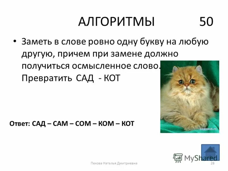 Ответы кот. Кот ответ ответ. Каков ответ с котиками. Кот 1 ответы. Кот б ответы