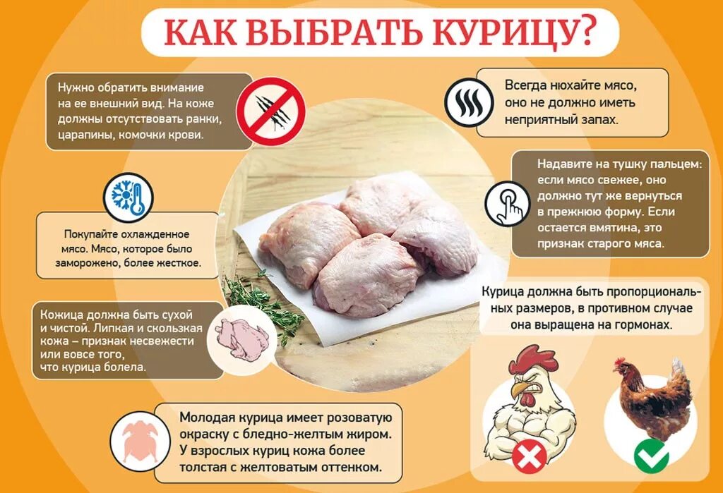 Полезное мясо кур. Как выбрать курицу. Как правильно выбрать курицу. Как выбрать мясо отличное.