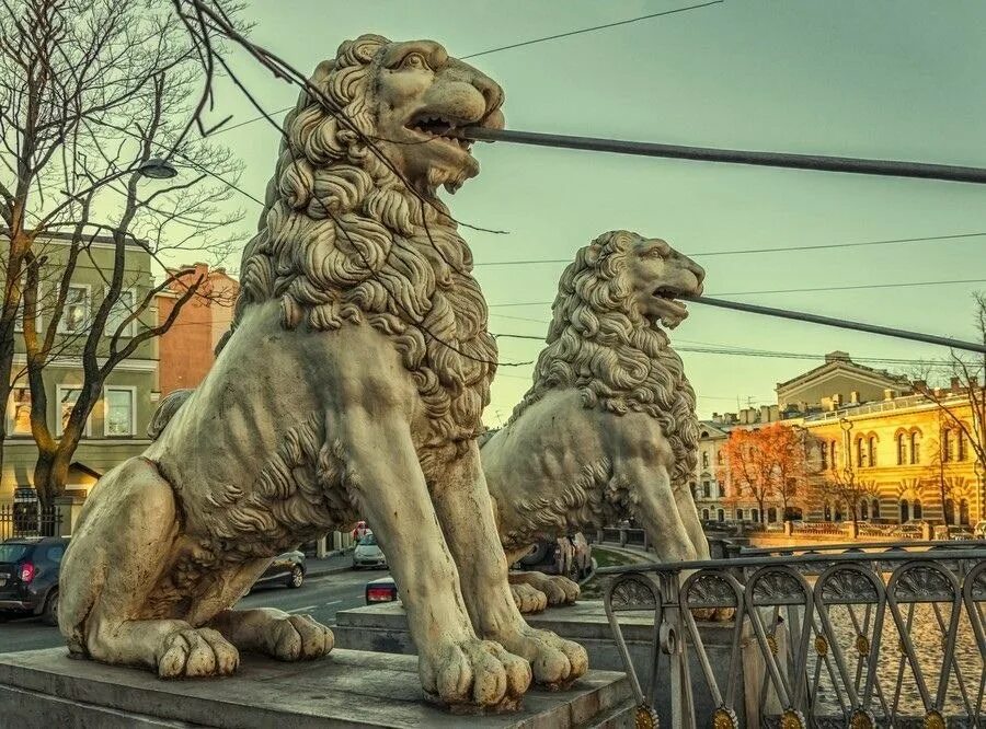 Санкт петербург где львы. Мост со львами в Санкт-Петербурге. Каменные львы в Санкт-Петербурге. Львы на набережной в Санкт-Петербурге. Питер каменные львы.
