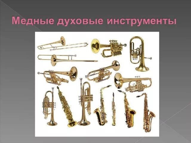 Определите состав медных духовых инструментов симфонического оркестра. Определите состав медных духовых инструментов симфонического оркестра