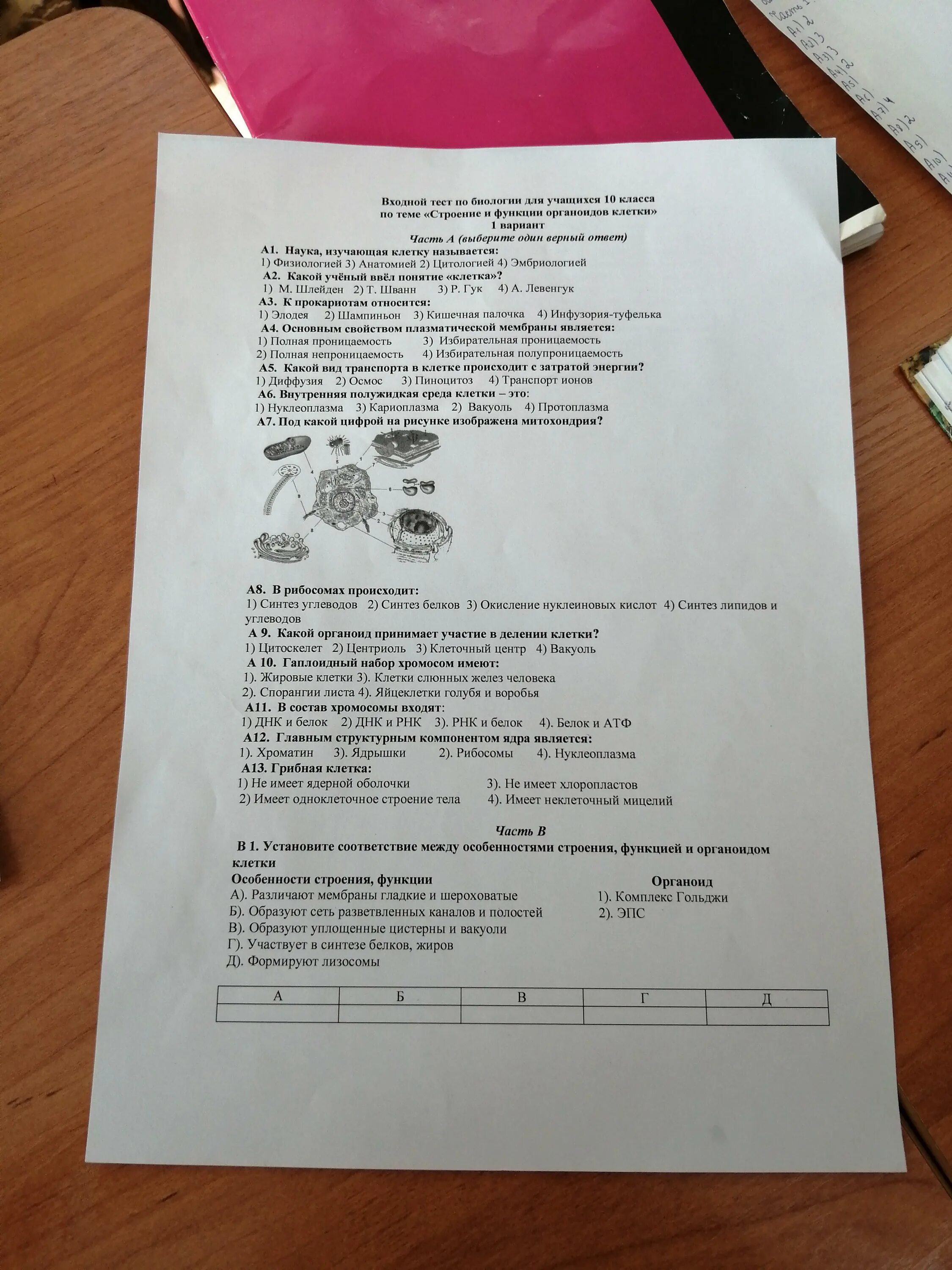 Тест клетка по вариантам. Тест по биологии. Контрольная работа по биологии строение клетки. Органоиды клетки тест 10 класс. Тесты по биологии 9 класс.