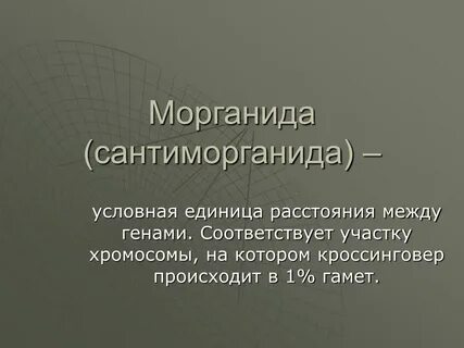 Морганида это