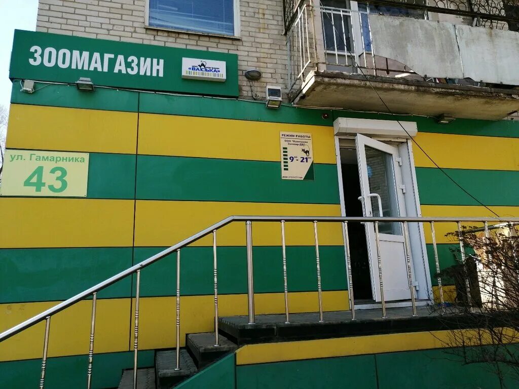 Хабаровск, ул гамарника, 12. Зоомагазин хабаровск. Улица гамарника. Минск гамарника. Дом на гамарника.