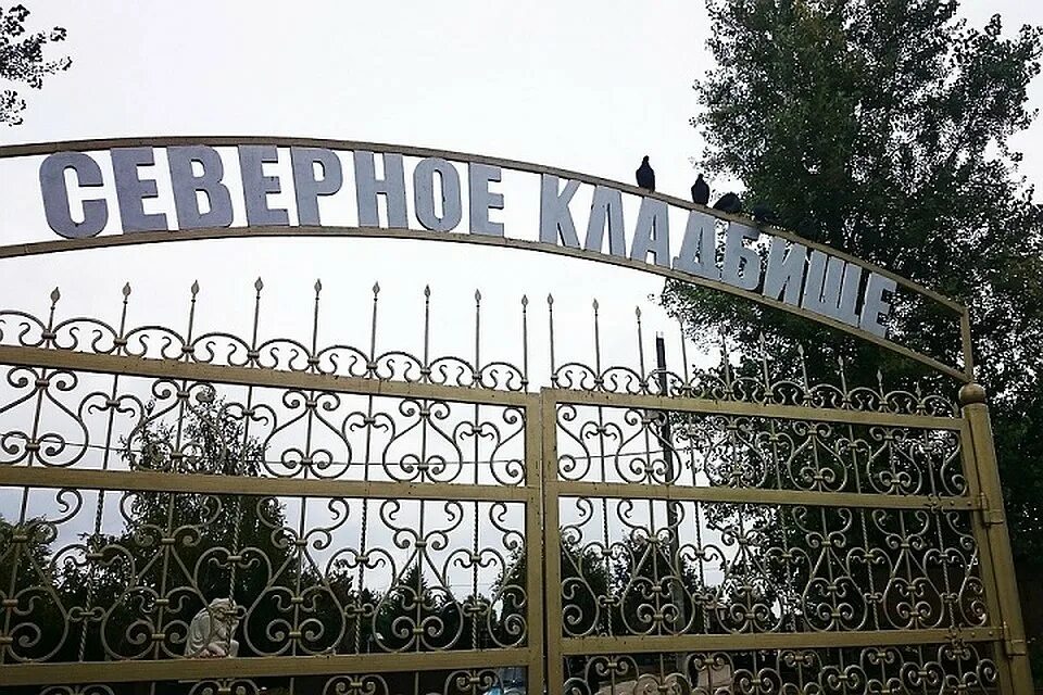 Северное городское кладбище ростов. Ростовское северное кладбище фото. Северное кладбище ростов-на-дону аллея героев. Сайт северного кладбища ростова. Сайт северного кладбища ростова.