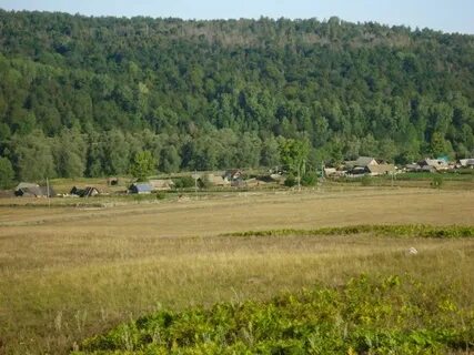 Дешев нький баш нка