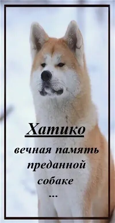 Память хатико. Памятники животным презентация. Хидэсабуро уэно. Хатико фото. Памятник хатико в японии.