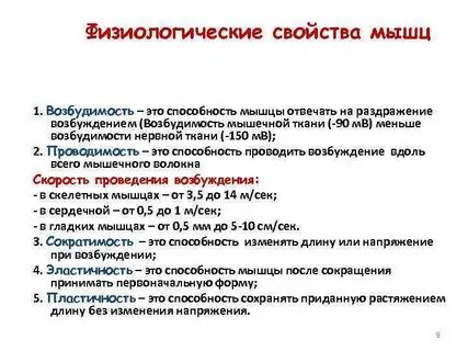 Физические свойства мышц
