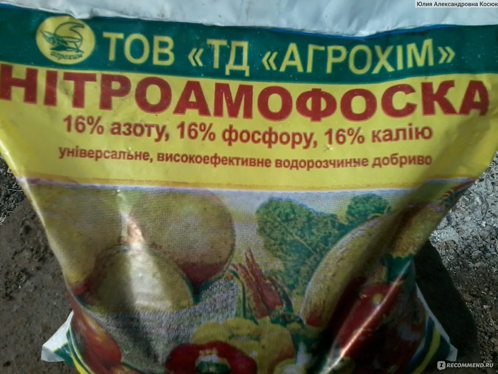 Нитроаммофоска удобрение применение на огороде. Нитроаммофоска для томатов. Калийно-фосфорные удобрения для томатов. Нитроаммофоска удобрение для петуний. НПК Нитроаммофоска.