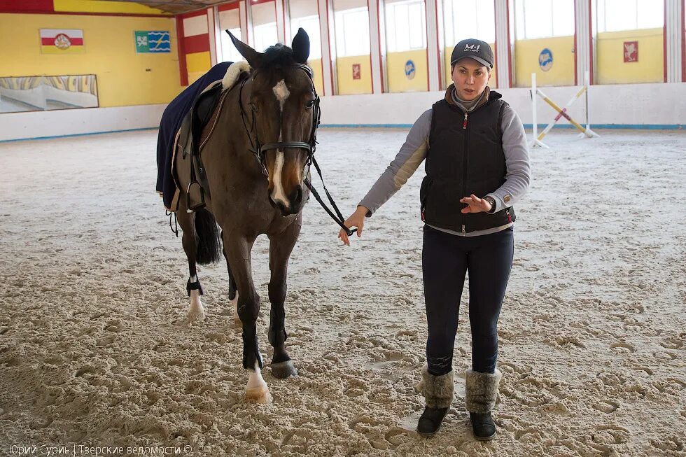 Конно-спортивный клуб Медведица, horse riding, Tver Region, Kashinskiy gorodskoy