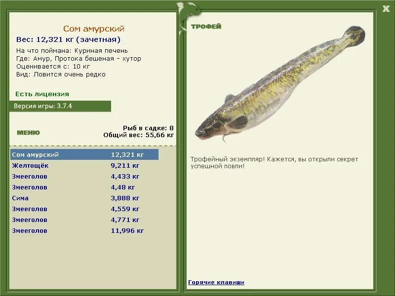 Русская рыбалка 3 сом. Русская рыбалка 3 7 6 сом Амурский. Русская рыбалка 3 7 6 Подкаменная Тунгуска сом Амурский. Русская рыбалка 3 верхняя Тунгуска сом Амурский. Русская рыбалка 3 7 4 Байкал сом Амурский.