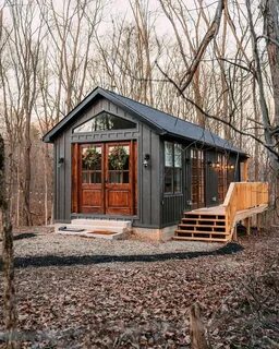 Forest home санкт петербург