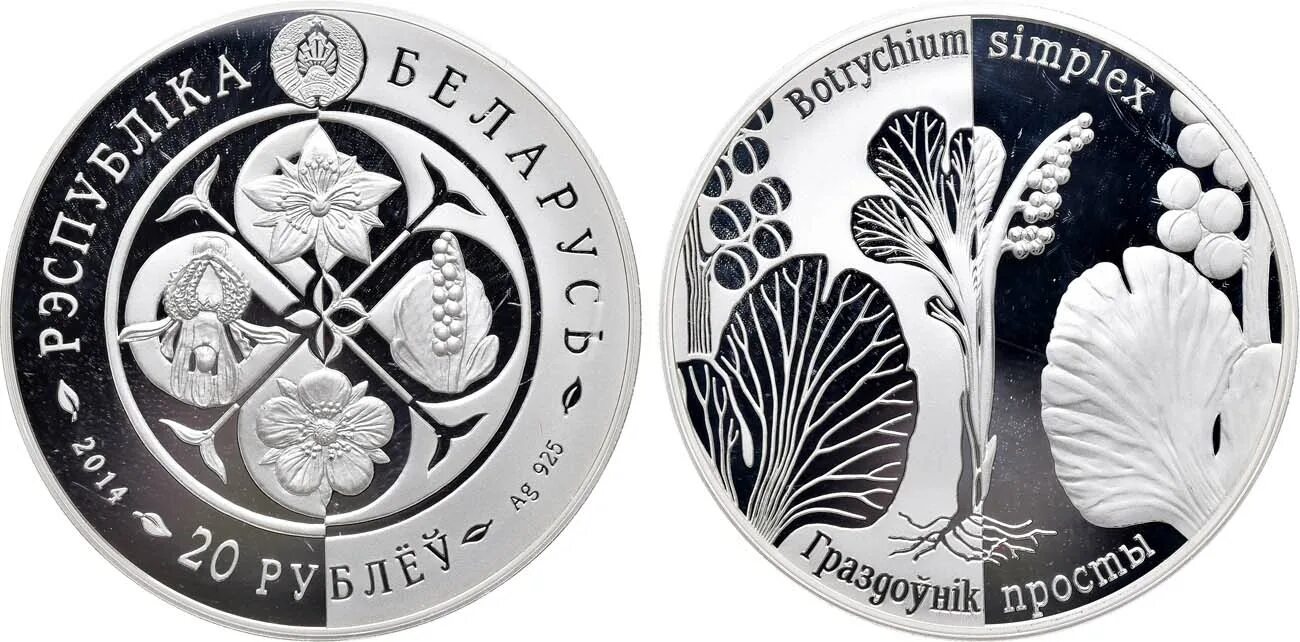1 рубль белоруссии в российских. Белорусский рубль монета. 1 ruble belarus coins. 1 белорусский рубль. монета белоруссии 1 рубль снегирь.
