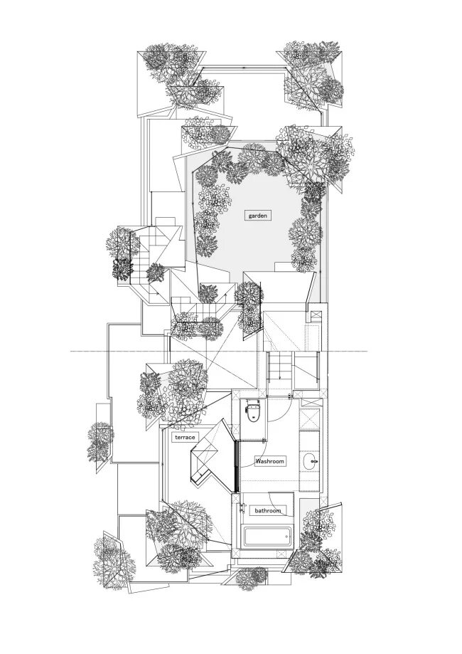 Complex tree. Complex tree