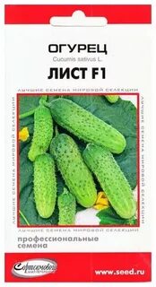 Огурец лист описание