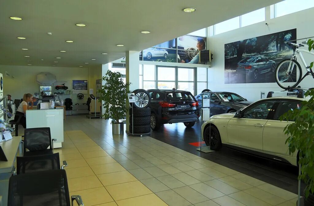 бавария петрозаводск. команда северная бавария петрозаводск. северная бавария петрозаводск официальный сайт. северная бавария петрозаводск авто. северная бавария петрозаводск официальный сайт.