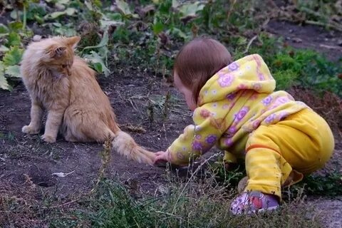 Держит кота за хвост