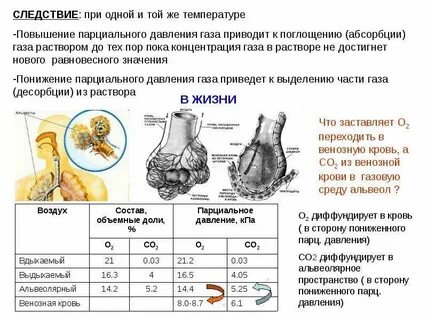 При температуре 30 парциальное давление