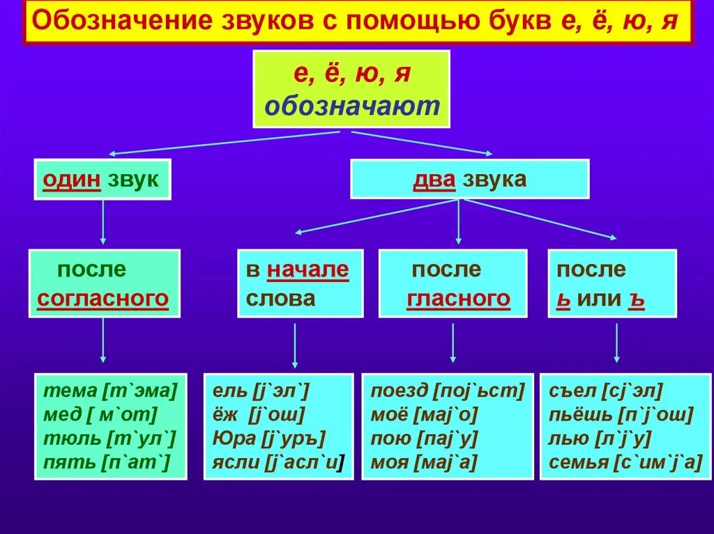 Слова где два согласных звука. Буквы е ё ю я обозначают 1 звук. Буквы обозначающие один звук. Буква е обозначает один звук. Слова в которых буква ё обозначает один звук.