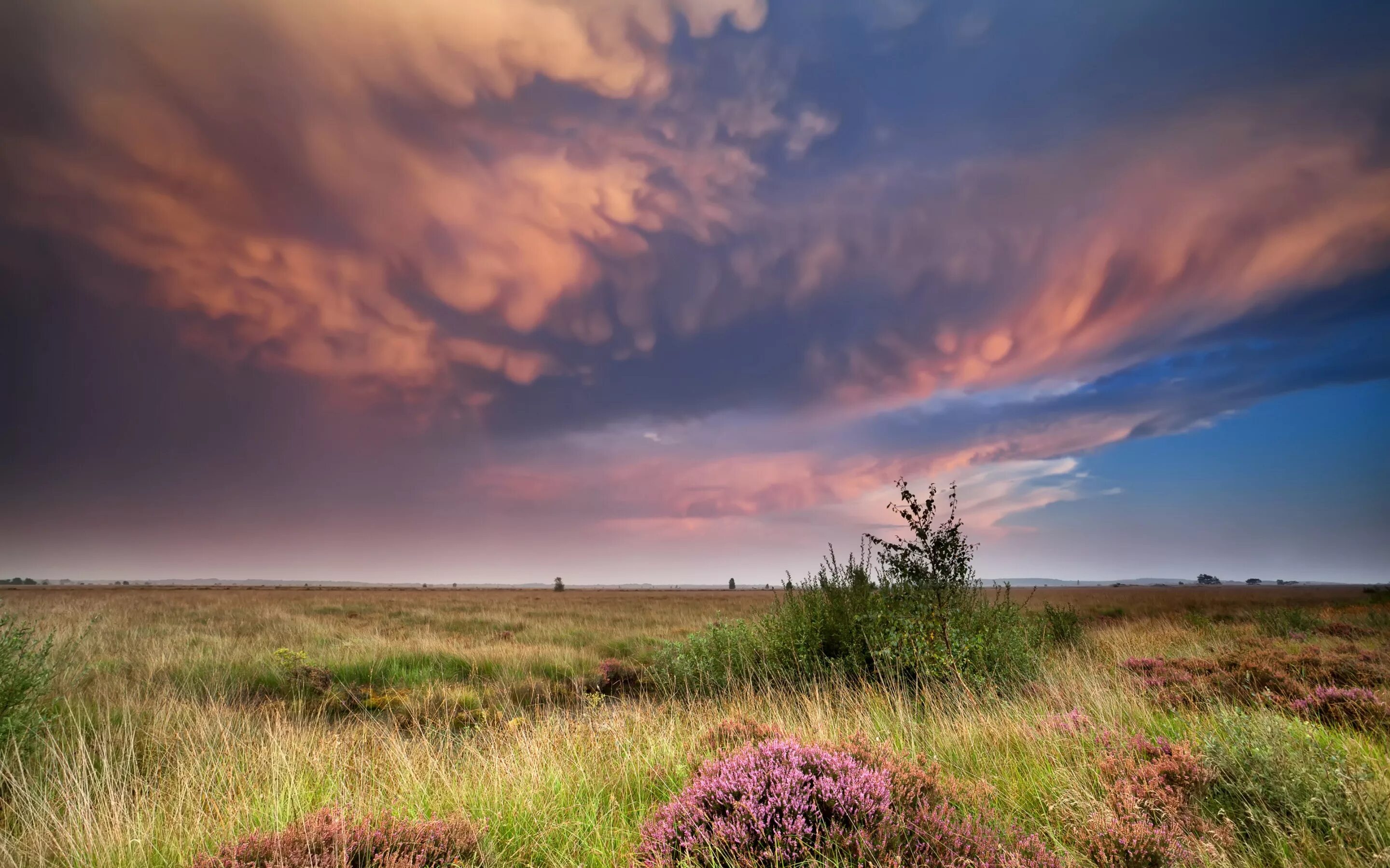 Поле и голубое небо. Пасмурное небо. Облака над лугом. Поле небо. Облака над лугом.