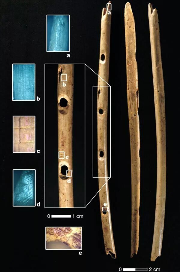 Холе Фельс флейта. Древняя костяная флейта. Пещера холе Фельс. Костяная флейта эпохи палеолита. Музыкальные находки