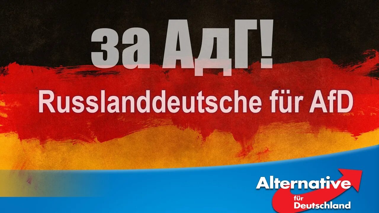 Кристин андерсон европарламент. Afd. Deutschland braucht die afd. Deutschland braucht die afd. Afd партия.