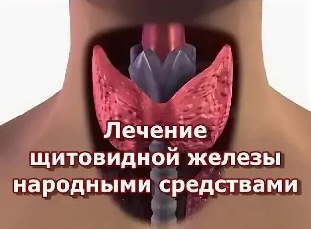 Исцеление щитовидной. Излечение щитовидной железы. Лекарство для щитовидной железы. Излечение узлов щитовидной железы.