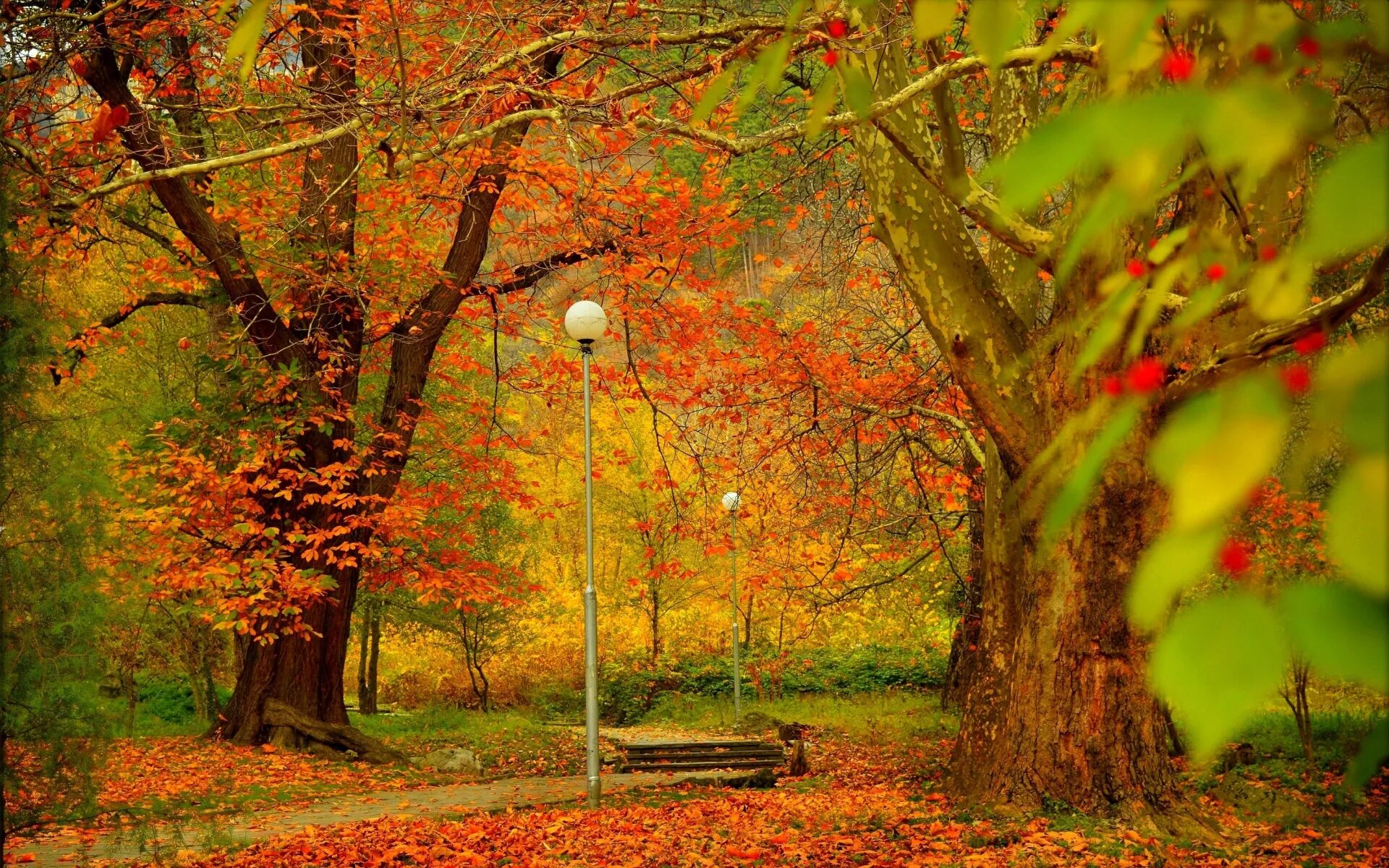 Фонарь листопад. Осенний парк. Обои осень. Пейзаж осени. Волшебная осень парков.