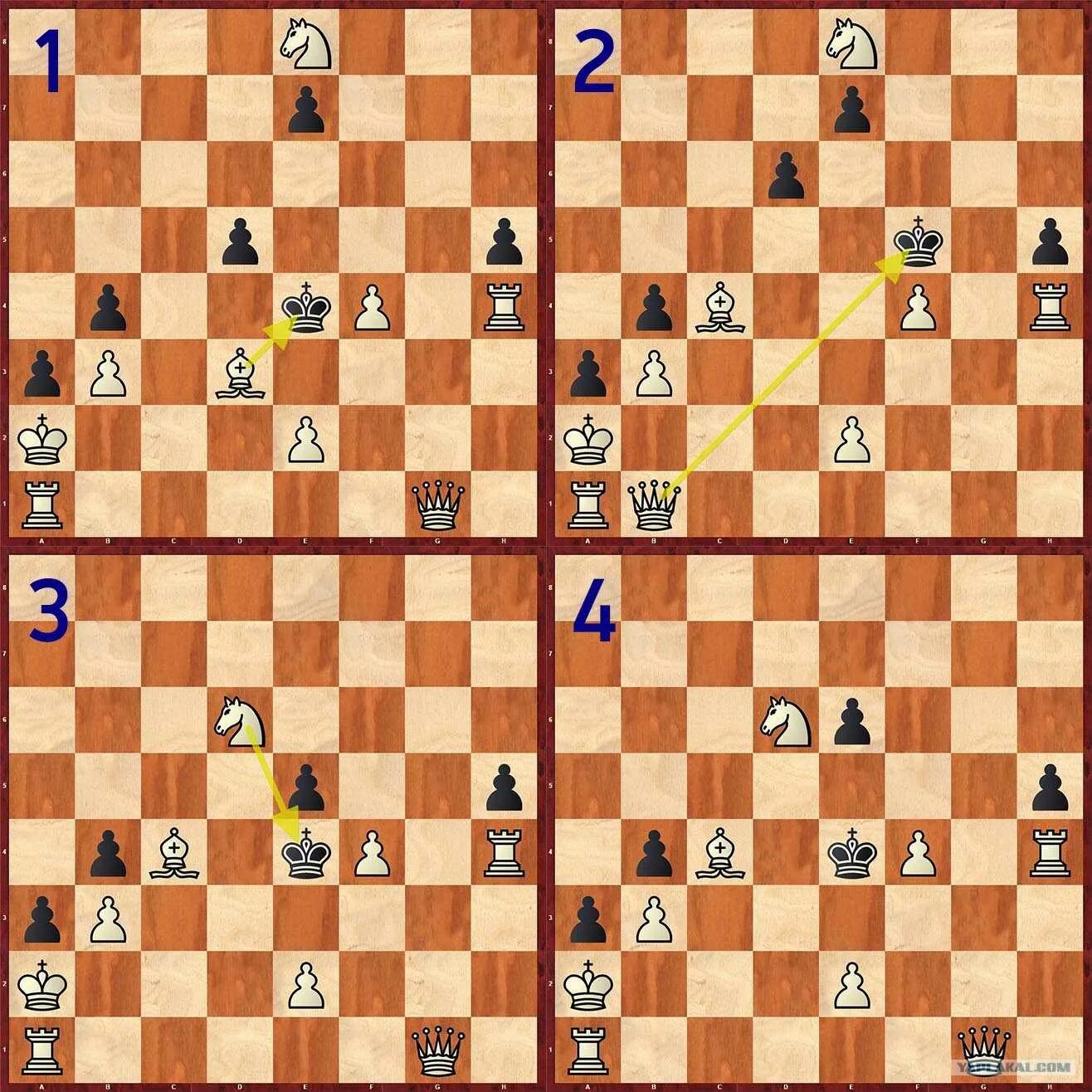 шаха ирана мохаммеда резы пехлеви. дети шаха ирана пехлеви. падишах бахадур-шах ii. махараджа ядавиндра сингх. ирьяна лейла пехлеви.