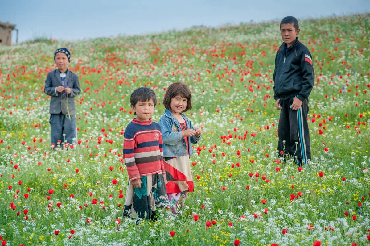 Asia life. Узбекистан весной. Цветущий Узбекистан.