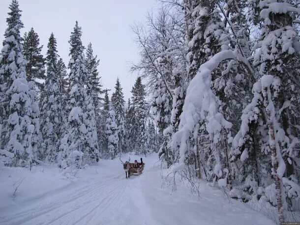 Финляндия январь. Финляндия зима. Финляндия достопримечательности зимой. Финляндия весной.