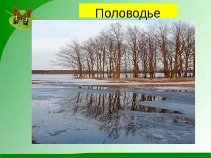 Март капельник