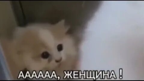Ааа женщины песня