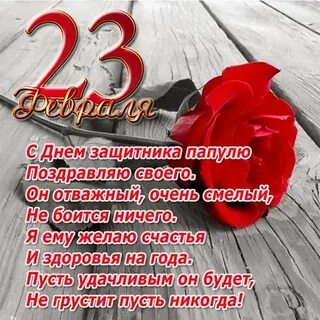 С 23 летием сына
