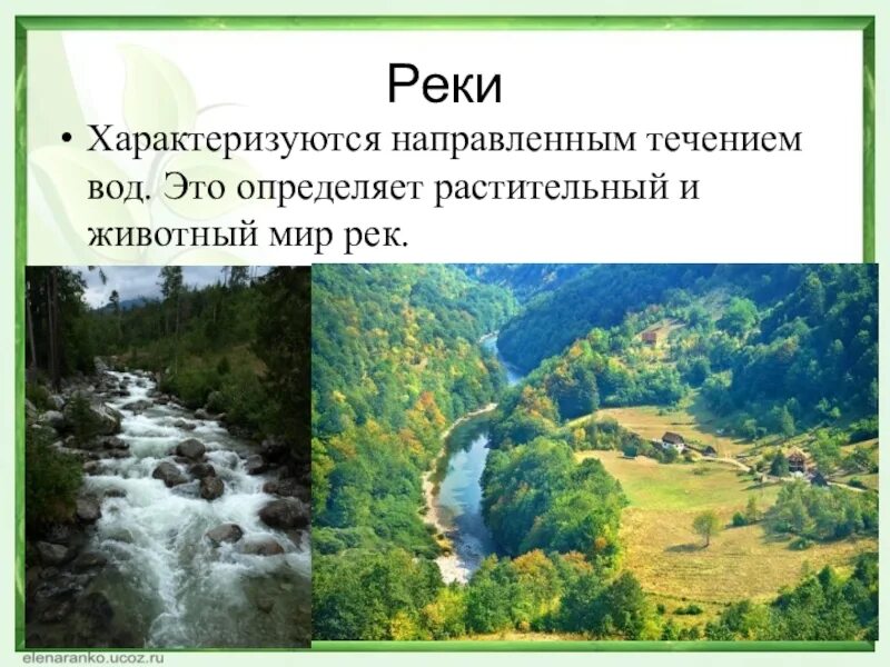 Воды рек характеризуются. Экосистема реки. Экосистема реки презентация. Биогеоценоз реки. Животный и растительный мир и реки презентация.