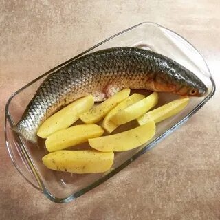 Пиленгас