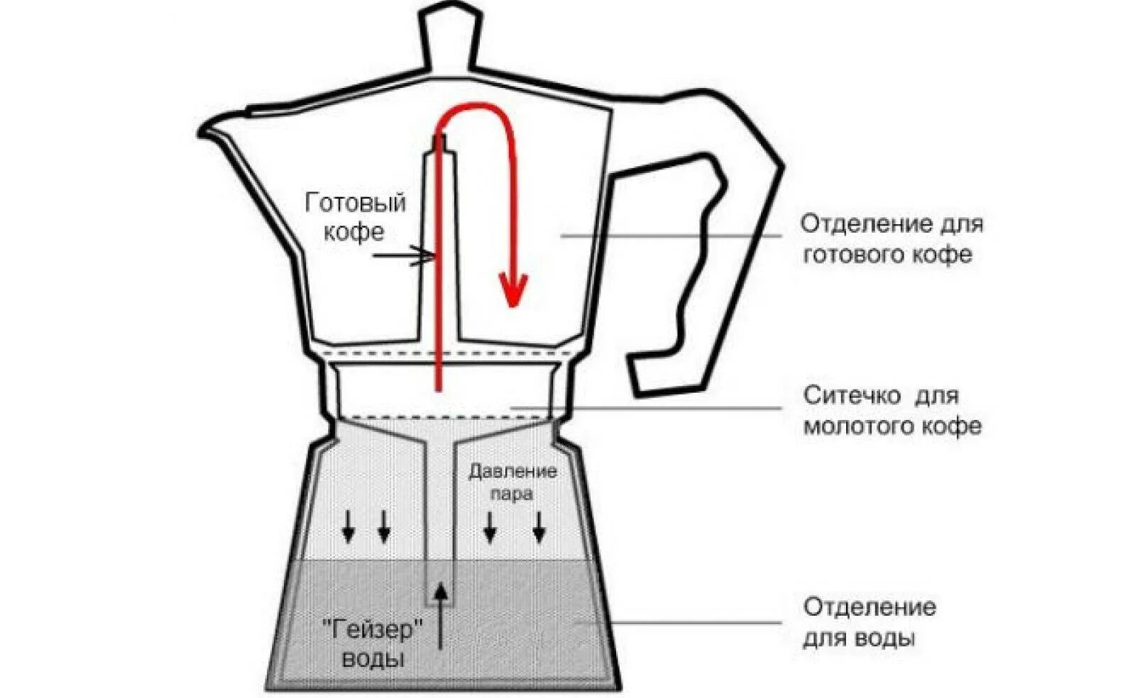 Гейзерная кофеварка принцип приготовления кофе. Гейзерная кофеварка принцип. Гейзерная кофеварка для индукционной плиты 600 мл. Кофеварка гейзерная Pedrini 1942.