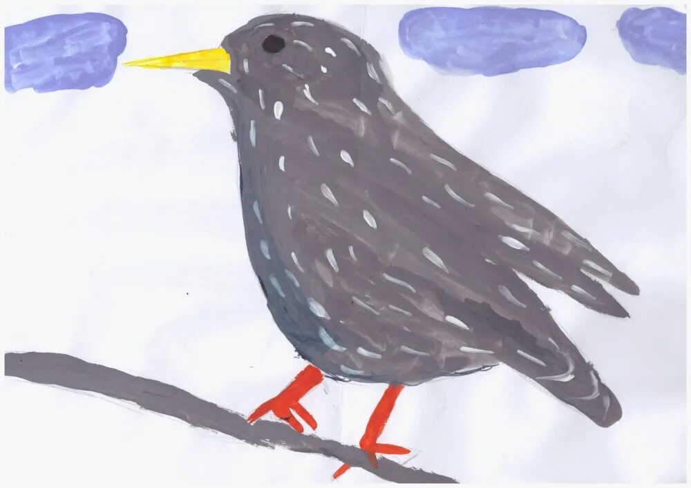 Скворец Перелетная птица. Рисование Скворцов. Рисование птицы в подготовительной группе. Рисование скворец в старшей группе