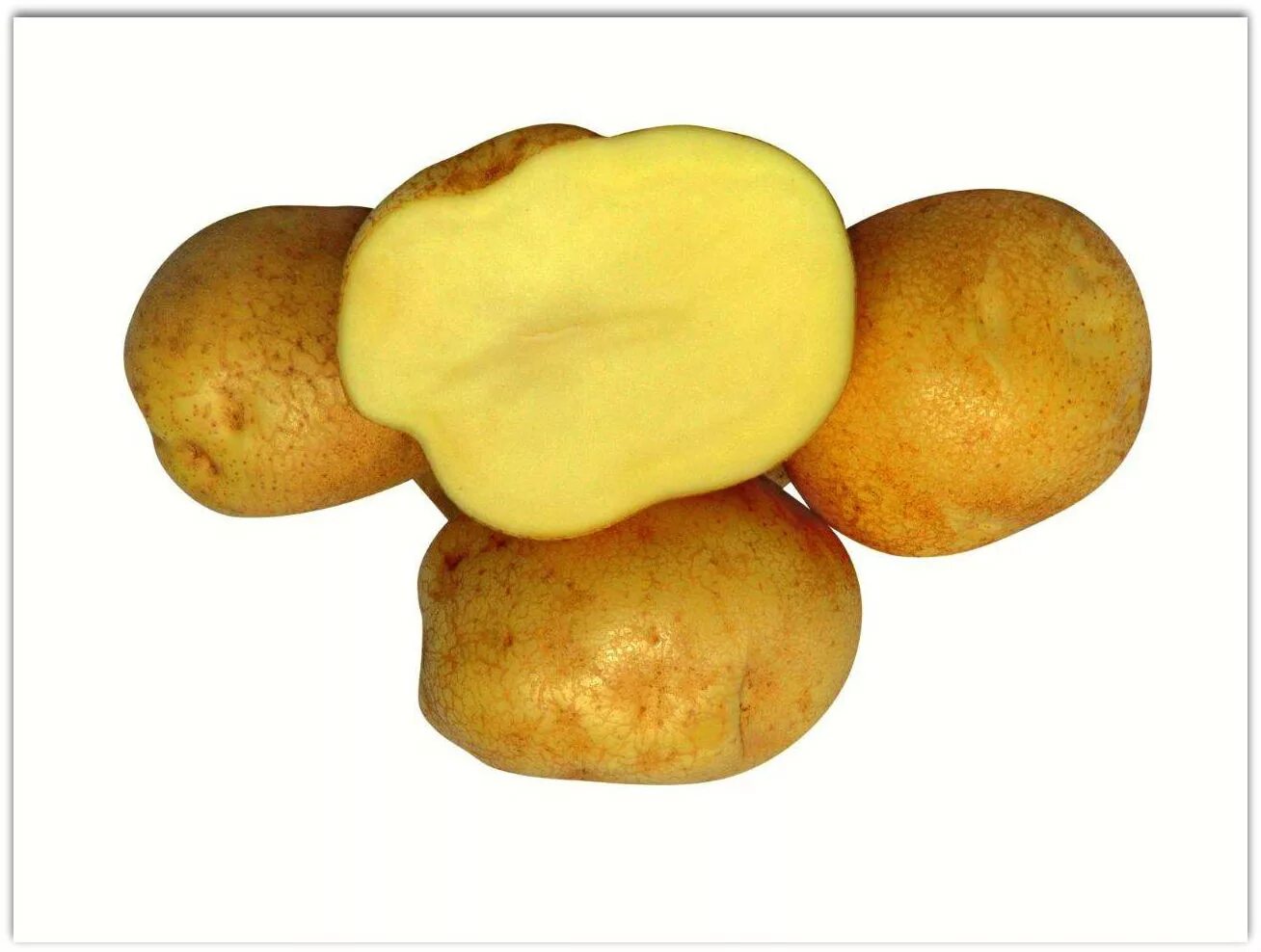 Какой вкус картошки. Картофель Сифра. Сорт картошки Сифра. Сифа сорт картофеля. Сорт картофеля Танай жёлтый.