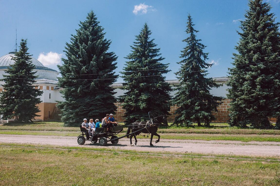 Село хреновое бобровского. Хреновской конный завод. Хреновской конный завод Воронежская область. Хреновое конный завод Воронеж. Хреновое Бобровский район конезавод.