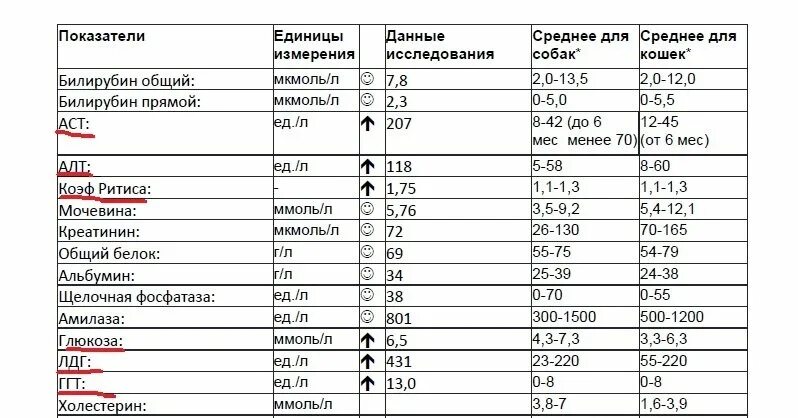 Хороший билирубин. Анализ крови показатели нормы билирубин. показатель общего билирубина в крови норма. общий анализ крови билирубин прямой норма. прямой билирубин норма у женщин норма.