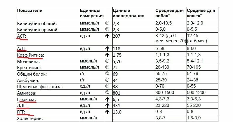 Билирубин повышен у женщины что. Анализ крови показатели нормы билирубин. Показатель общего билирубина в крови норма. Общий анализ крови билирубин прямой норма. Прямой билирубин норма у женщин норма.