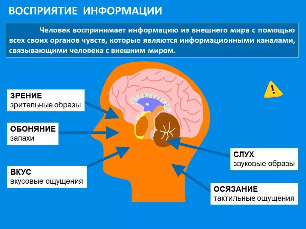 Опасность восприятия. Восприятие информации. Восприятие информации человеком. Модель восприятия информации. Каналы восприятия информации.