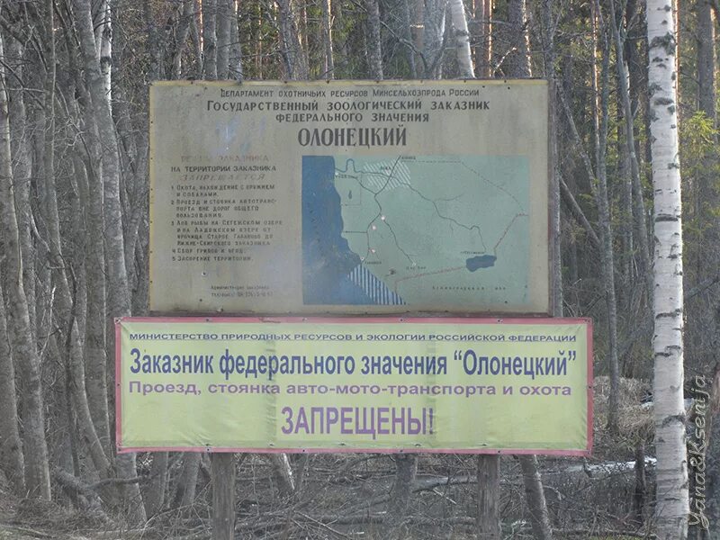 курганская область природа животные. зоологический заказник «тонгульский».