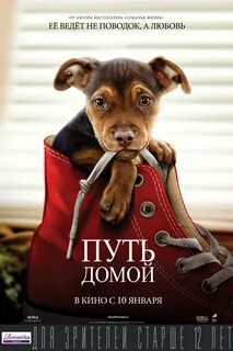 Делаю путь домой