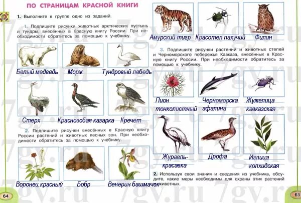 Красная книга 2 класс окружающий мир тест. Красная книга России окружающий мир 4 класс рабочая тетрадь. Красная книга России окружающий мир 4 класс рабочая тетрадь Плешаков. Плешаков 4 класс тетрадь красная книга России окружающий мир. Окружающий мир 4 класс Плешаков красная книга России.