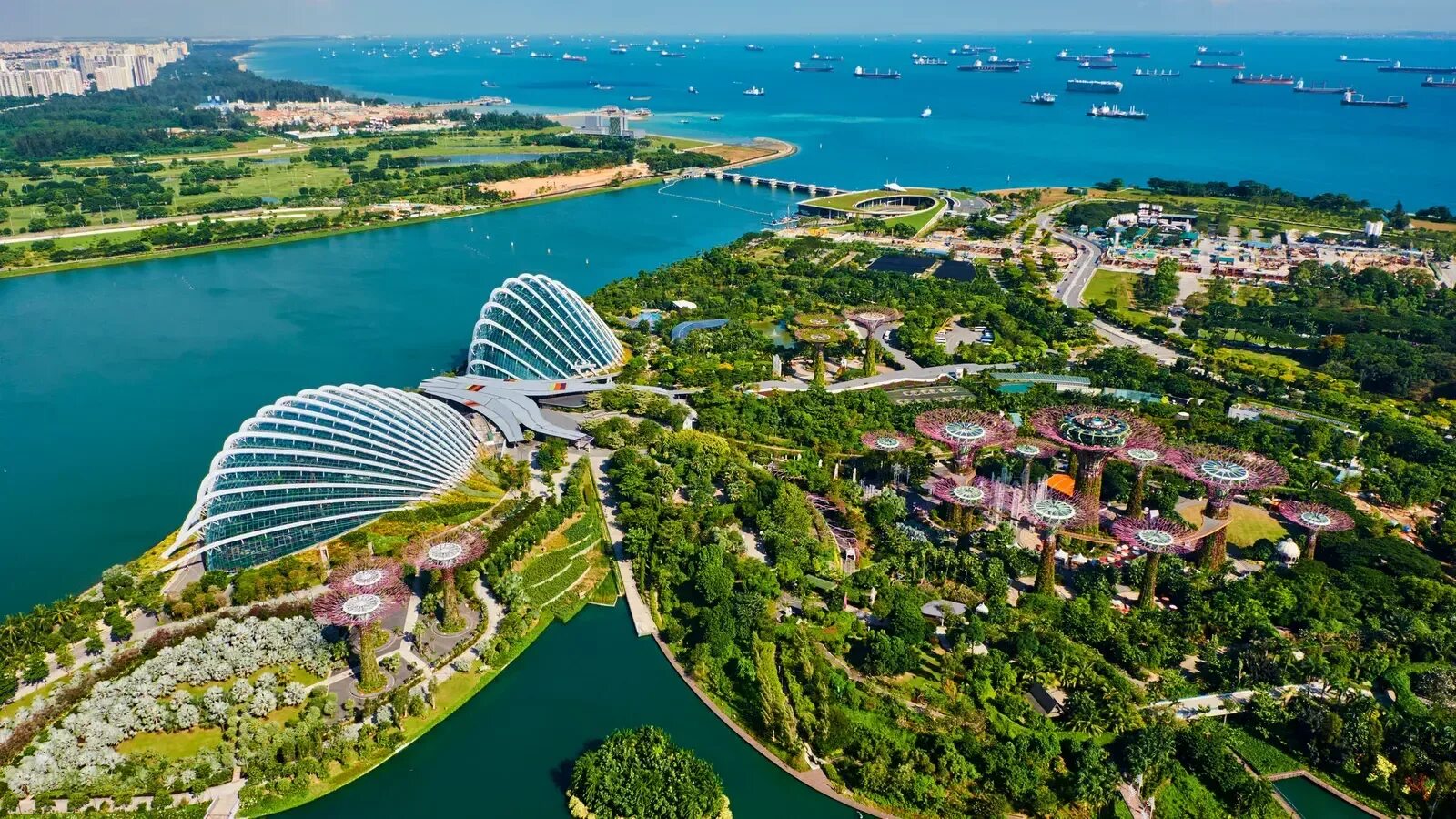 Singapore sg. Singapore sg. Singapore sg. Singapore sg. Сингапур город сингапур.