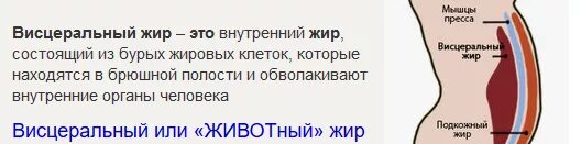 Как избавиться от висцерального жира у мужчин